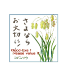 ミチコばあば NO17  夏の花 B（個別スタンプ：7）
