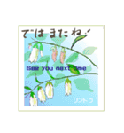 ミチコばあば NO17  夏の花 B（個別スタンプ：13）