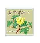 ミチコばあば NO17  夏の花 B（個別スタンプ：14）