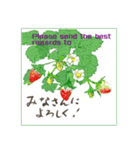 ミチコばあば NO17  夏の花 B（個別スタンプ：15）