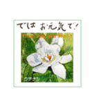 ミチコばあば NO17  夏の花 B（個別スタンプ：16）