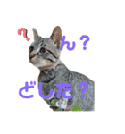 愉快な奴ら‼︎（個別スタンプ：1）