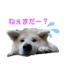 愉快な奴ら‼︎（個別スタンプ：2）