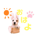 愉快な奴ら‼︎（個別スタンプ：3）