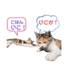 愉快な奴ら‼︎（個別スタンプ：4）