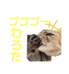 愉快な奴ら‼︎（個別スタンプ：5）