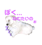 愉快な奴ら‼︎（個別スタンプ：7）