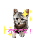 愉快な奴ら‼︎（個別スタンプ：8）