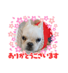 フレンチブルドッグのいちごちゃん2（個別スタンプ：6）