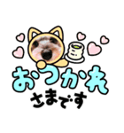 マルシュナにこ（個別スタンプ：4）