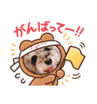 マルシュナにこ（個別スタンプ：6）