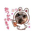 マルシュナにこ（個別スタンプ：7）