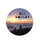 kinko＿写真8（個別スタンプ：3）