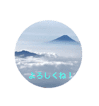 kinko＿写真8（個別スタンプ：6）