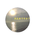 kinko＿写真8（個別スタンプ：7）