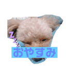 あずきこてつ（個別スタンプ：2）
