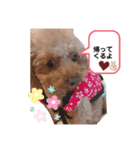 あずきこてつ（個別スタンプ：7）