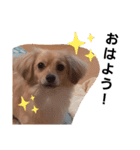 れんの日々（個別スタンプ：5）