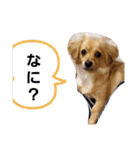 れんの日々（個別スタンプ：9）