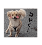 れんの日々（個別スタンプ：20）