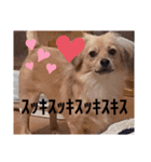 れんの日々（個別スタンプ：32）