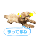 とらのすたんぷ！！！！（個別スタンプ：2）