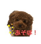 とらのすたんぷ！！！！（個別スタンプ：4）