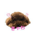 とらのすたんぷ！！！！（個別スタンプ：17）