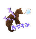とらのすたんぷ！！！！（個別スタンプ：19）