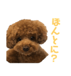 とらのすたんぷ！！！！（個別スタンプ：22）