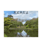 感謝と自然と（個別スタンプ：1）