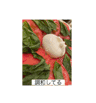感謝と自然と（個別スタンプ：13）
