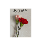 感謝と自然と（個別スタンプ：21）