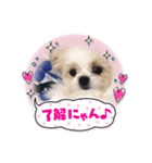 あねららちゃん（個別スタンプ：1）