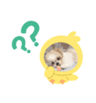あねららちゃん（個別スタンプ：5）