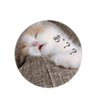 はちとたわこ（個別スタンプ：2）