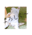 はちとたわこ（個別スタンプ：7）