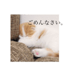 はちとたわこ（個別スタンプ：9）
