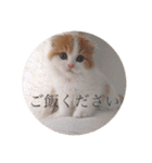 はちとたわこ（個別スタンプ：22）