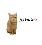 cork's stamp part1（個別スタンプ：7）