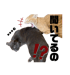 ちくわとトトロ 03（個別スタンプ：24）