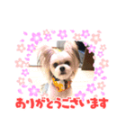 うめちゃんが可愛すぎて。（個別スタンプ：1）