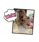 うめちゃんが可愛すぎて。（個別スタンプ：8）