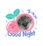猫達001（個別スタンプ：6）