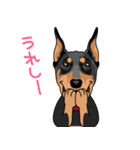 doberman@SURFBORDER（個別スタンプ：2）