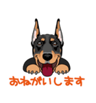 doberman@SURFBORDER（個別スタンプ：10）