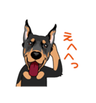 doberman@SURFBORDER（個別スタンプ：11）