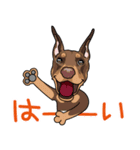 doberman@SURFBORDER（個別スタンプ：14）