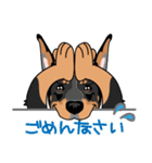 doberman@SURFBORDER（個別スタンプ：16）