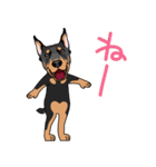 doberman@SURFBORDER（個別スタンプ：18）